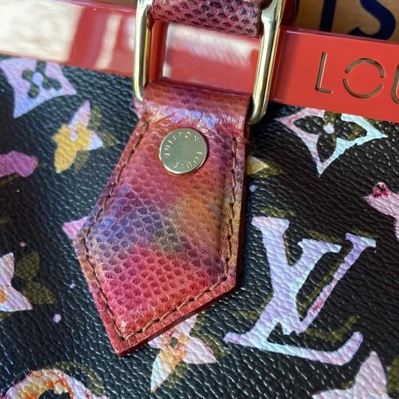 LOUIS VUITTON WATERCOLOR AQUARELLE MONOGRAM PAPILLON FRAME SNAKESKIN BAG - Picture 5 of 11